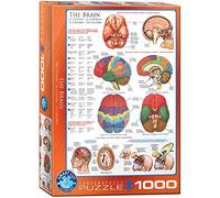 EuroGraphics- Military Helicopters Puzzle, 6000-0256, Coloris Assortis, 48 x 68 cm