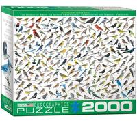 Eurographics Monde Des Oiseaux Puzzle En Bois De 2000 Pièces 965Mm X 685Mm