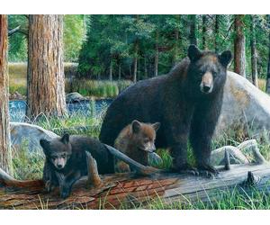 Eurographics Nouvelles Découvertes Par Kevin Daniel Puzzle 1000 Pièces Puzzle