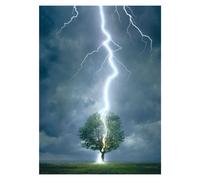 EUROGRAPHICS Puzzle Arbre frappé par la foudre 1000 pièces