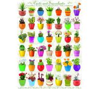 EUROGRAPHICS Puzzle Cactus et plantes succulentes 1000 pièces