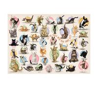 EUROGRAPHICS Puzzle chat yoga XL 500 pièces