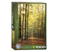 EUROGRAPHICS Puzzle Chemin de forêt 1000 pièces