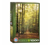 Eurographics Puzzle Chemin forestier, paysage, 1000 pièces, 68 x 48 cm, 6000-...