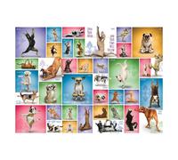 EUROGRAPHICS Puzzle chien yoga 1000 pièces