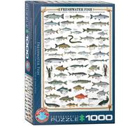 EUROGRAPHICS Puzzle de poissons d'eau douce 1000 pièces