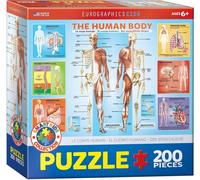 Eurographics Puzzle Der menschliche Körper, 200 Teile, 48 x 33 cm, 6200-1000