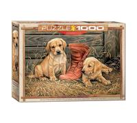 Eurographics Puzzle Etwas Altes, Etwas Neues von Rosemary Millette, 1000 Teile, 68 x 48 cm, 6000-0795