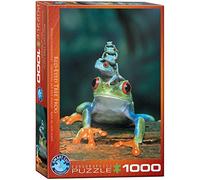 Eurographics Puzzle Grenouille aux Yeux Rouges – 1000 pièces