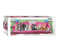 Eurographics Puzzle Kätzchen Couch, 1000 Teile Panorama, 96 x 32 cm, 6010-5629