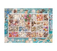 EUROGRAPHICS Puzzle Laura's shell collection 1000 pièces