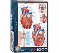 Eurographics Puzzle Le cœur, anatomie, 1000 pièces, 68 x 48 cm, 6000-0257