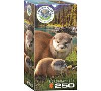 Eurographics Puzzle Loutre, Maman et son bébé, 250 pièces, 33 x 48 cm, 8251-5558