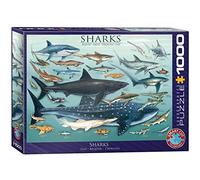 Eurographics Puzzle Requins – 1000 pièces