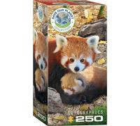 Puzzle 250 pièces - EUROGRAPHICS - Collection Save our planet : Pandas rouges - Thème Animaux