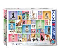Eurographics Puzzle Yoga Dogs 6000-0954 - Divers - 48 x 68 cm