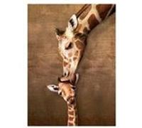 EurographicsPuzzles Animals - Giraffe Mother's Kiss - puzzle - 1000 pièces multicolore G