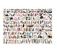 EurographicsPuzzles - Chats - puzzle - 1000 pièces multicolore G