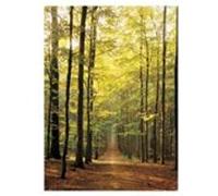 EurographicsPuzzles - Forest Path - puzzle - 1000 pièces multicolore G