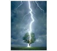EurographicsPuzzles - Lightning Striking Tree I - puzzle - 1000 pièces multicolore G