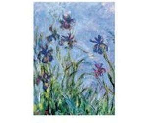EurographicsPuzzles - Monet - Irises - detail - puzzle - 1000 pièces multicolore G