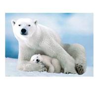 EurographicsPuzzles - Ours polaire et ourson - puzzle - 1000 pièces G