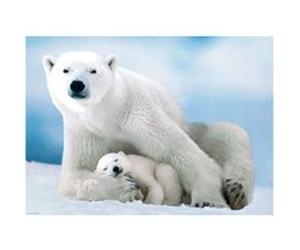 EurographicsPuzzles - Ours polaire et ourson - puzzle - 1000 pièces G