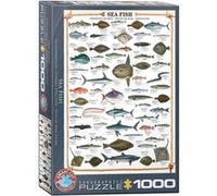 EurographicsPuzzles - Poissons de mer - puzzle - 1000 pièces G