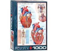 EurographicsPuzzles Science - The Heart - puzzle - 1000 pièces G