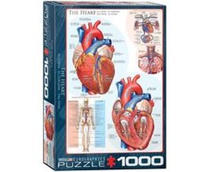 EurographicsPuzzles Science - The Heart - puzzle - 1000 pièces G