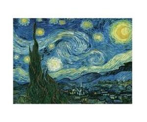 EurographicsPuzzles - Starry Night - puzzle - 1000 pièces G
