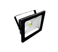 Eurolite Led Ip Fl-50 Cob Uv