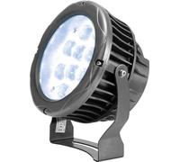 EUROLITE LED IP PST-36W 6400K Pinspot (51916162)