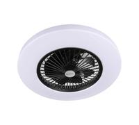 Eurom Ventilateur De Plafond LRC - 43 W - Noir