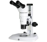 Euromex Microscope stéréoscopique DZ.1605, avec tête binoculaire, 8x-50x, LED