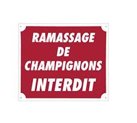 Europ-Arm Panneau akilux Rouge 30 x 25 cm - SIGNAGE - Avertissement, Extérieur - Plastique - Informatif/Avertissant - Ramassage de champignons interdit