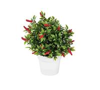 Europalms 82506432 Chili en Pot, Multicolore, Taille Unique