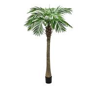 Phoenix palmier luxor, plante artificielle, 210cm
