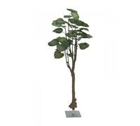 EUROPALMS Arbre de Pothos, plante artificielle, 175cm