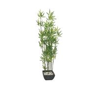EUROPALMS Bambou décoratif dans coupe décorative, artificiel, 120cm
