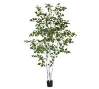 EUROPALMS Bouleau, plante artificielle, 210cm