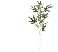 EUROPALMS Branche de chanvre, artificielle, 90cm