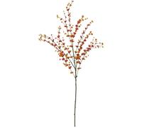 EUROPALMS Branche d'eucalyptus, artificielle, orange, 110cm