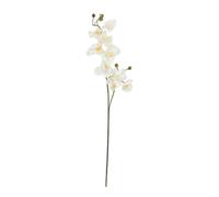 EUROPALMS Branche d'orchidée, artificielle, crème-blanche, 100cm