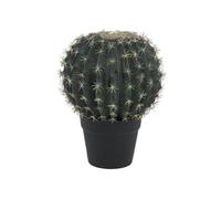 EUROPALMS Cactus sphérique, plante artificielle, 34cm