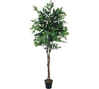 EUROPALMS Ficus-Benjamini multi-tronc, plante artificielle, 210cm