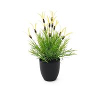 EUROPALMS Laitue à plumes, artificielle, 40cm