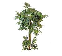 EUROPALMS Palmier Fishtail, plante artificielle, 305cm
