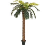 EUROPALMS Palmier Phénix deluxe, plante artificielle, 300cm