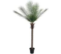 Phoenix palm deluxe, plante artificielle, 220cm